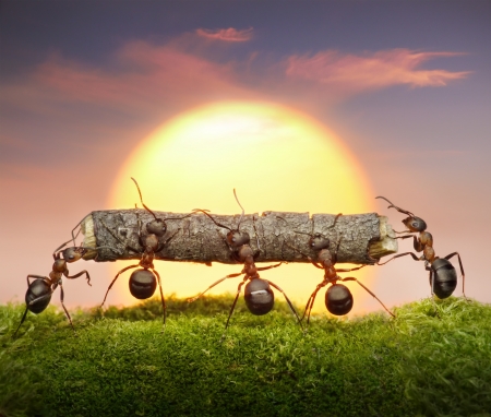Why Smart Teams Get Stuck: The Hidden Assumptions That Shape Performance